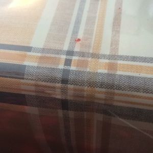 Meet your Posher, Josie